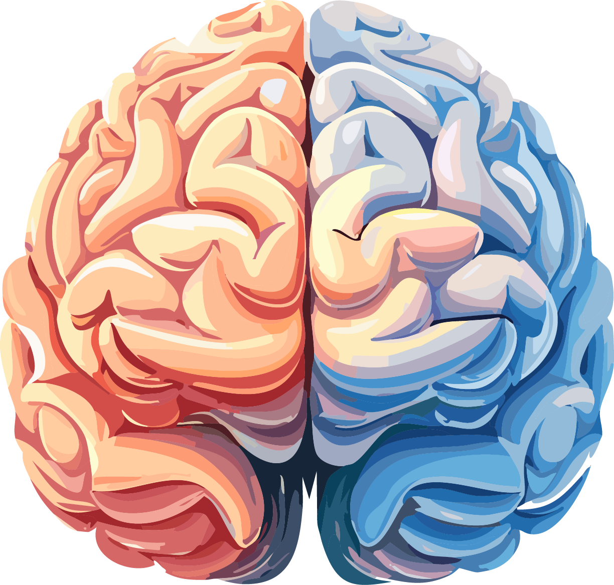 Brain