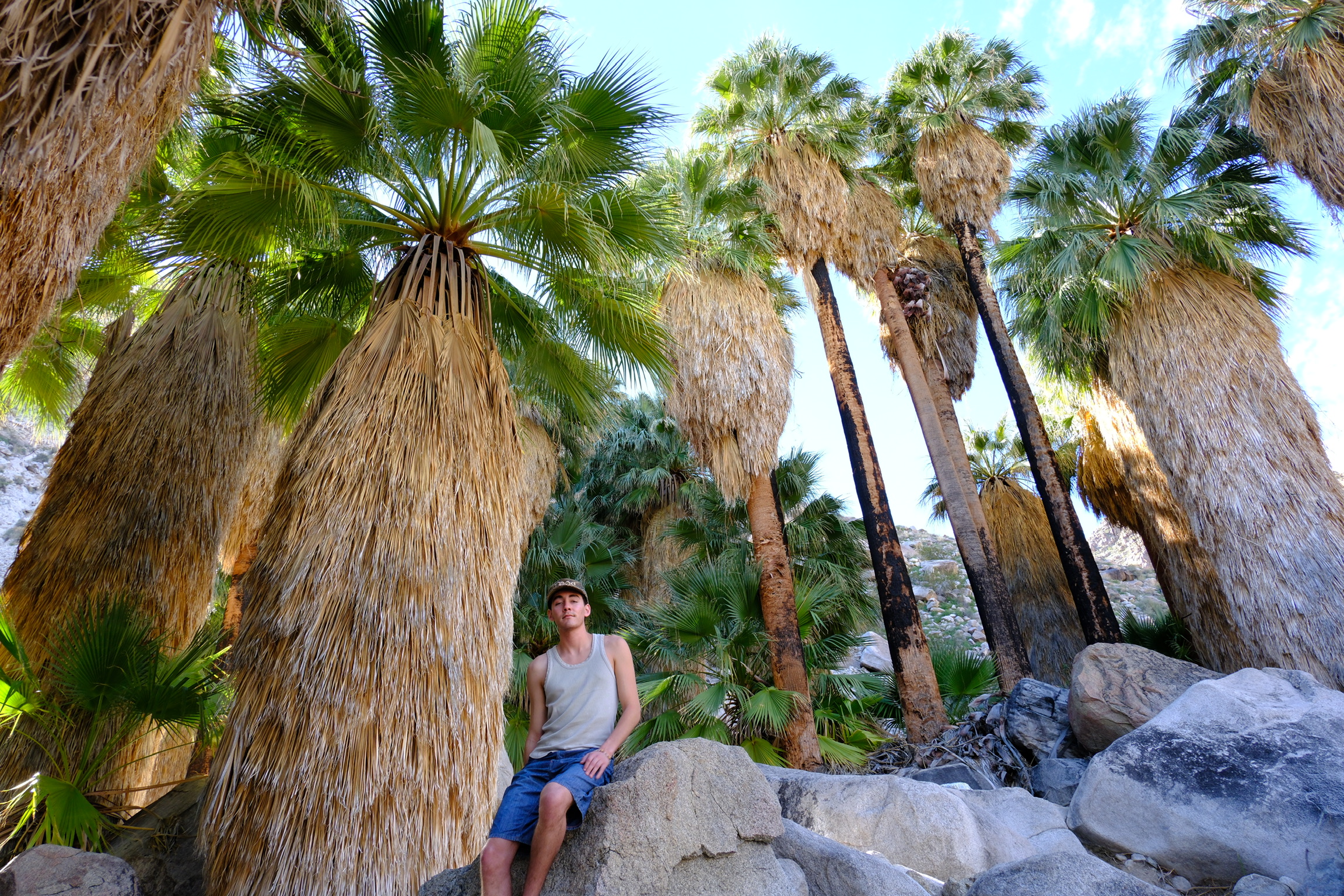 A hike in the mountains